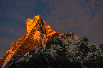 Machapuchare or Fish Tail sacred mountain in Nepal. Himalayas mountain summits from the hike to Annapurna and Mardi Himal Base Camp trek in Nepal. Machapuchre summit beautiful landscape in Nepal