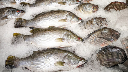 Fresh fish on ice at the fresh market.