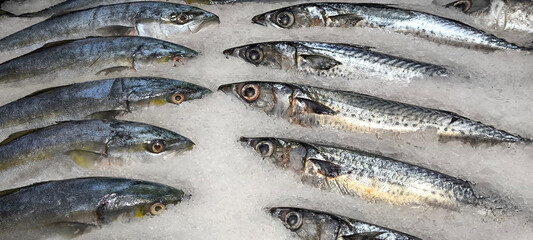 Fresh fish in the fresh market on ice. fish caught from fishing.