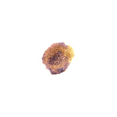 Grunge Coffee Stain. Abstract Vintage Coffee Spill & Splash Texture. Vintage Coffee Stain Effect.