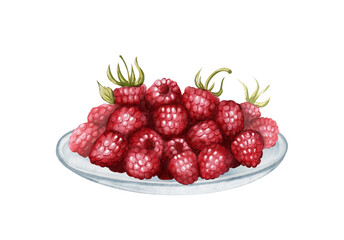 Fresh ripe raspberry berries on a glass plate, watercolor illustration on white background. Suitable for tea packaging, menu design, labels, cards, summer recipes, kitchen prints, and invitations