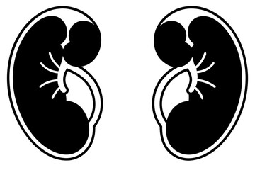 kidneys silhouette line art vector illustration with a white background