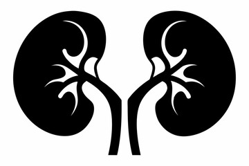 kidneys silhouette line art vector illustration with a white background