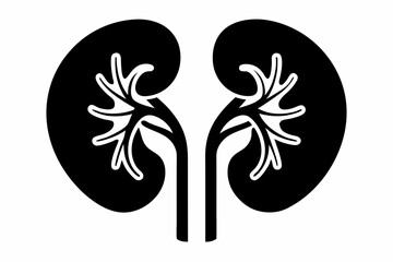 kidneys silhouette line art vector illustration with a white background