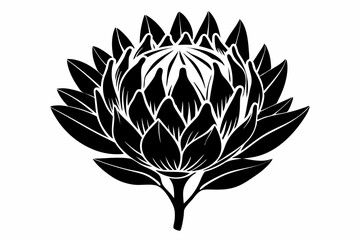 king protea flower silhouette line art vector illustration with a white background