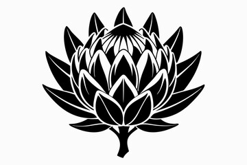 king protea flower silhouette line art vector illustration with a white background