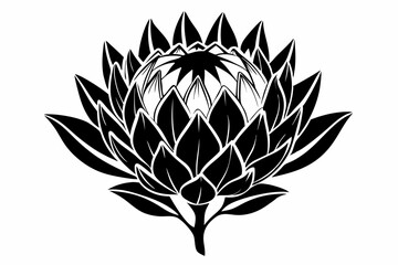 king protea flower silhouette line art vector illustration with a white background