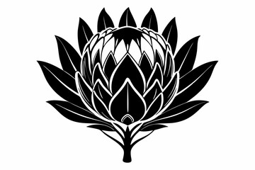 king protea flower silhouette line art vector illustration with a white background