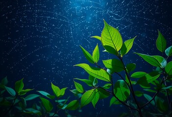 Leaves illuminated by starlight on a clear night.
