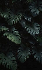 Fototapeta premium Intricate dark tropical leaves, vines, shadows on black Lush, mysterious jungle foliage , deep, botanical