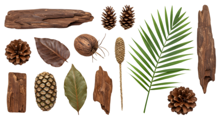 Natures treasures Forest floor textures