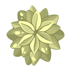 Top view wooden patio furniture set with plants. Entourage design for architectural floor plans. Vector.