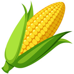 Yellow corn cob with green husk vector
