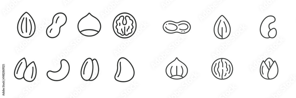 Poster collection of hand-drawn illustrations of various nuts on a white background showing their unique sh