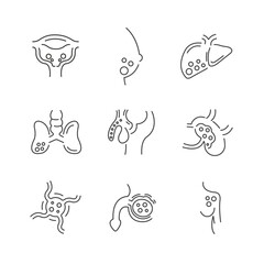 Vector Icon Sets Collection: Medical, Technology, Education, Nature & More