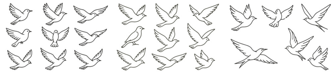 Fototapeta premium Various sketches of flying birds showcasing different postures and wing positions in a clear, artistic style