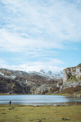 Fototapeta premium Lakes of Covadonga - Picos da Europa - Spain
