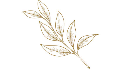 Gold line drawing of a leafy branch