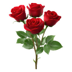 Fototapeta premium Beautiful arrangement of vibrant red roses with lush green leaves in elegant bouquet display