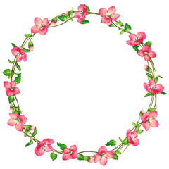 illustration of frame of peach pink myosotis