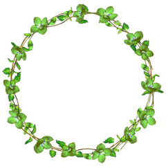 illustration of frame of green myosotis