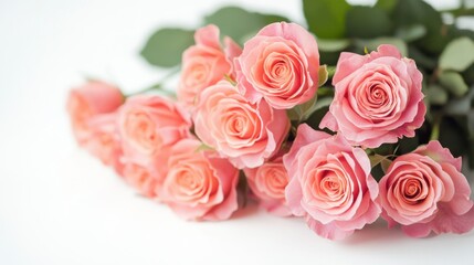 Soft Pink Roses with Green Leaves on a White Background
