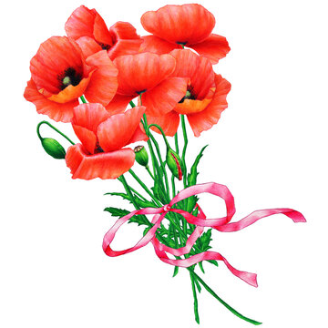 illustration of bouquet of poppies