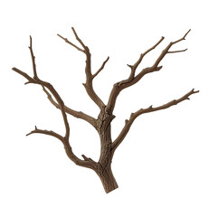 Dried Dead Tree Branch, Isolated on White Background Perfect for Autumn, Winter, or Halloween Decorations