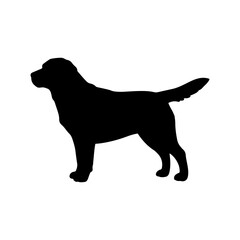 Dog labrador silhouette vector flat illustration design.