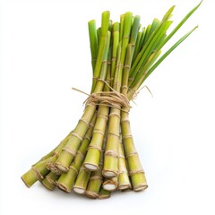 Fototapeta premium Fresh Green Sugarcane Stalks with Tied Bundles on White Background