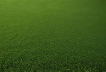 High-angle shot of lush artificial grass carpet, asset, design