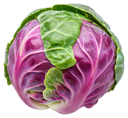 Obraz premium Vibrant Red And Green Sprout Close Up On White