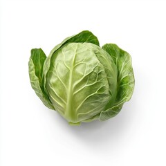 Fototapeta premium Fresh Green Cabbage Isolated on White Background for Culinary Use