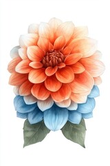Watercolor Painting of Peach and Light Blue Dahlia Flower