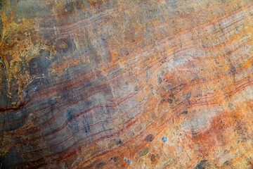 Nature’s abstract orange canvas for artistic backgrounds.
