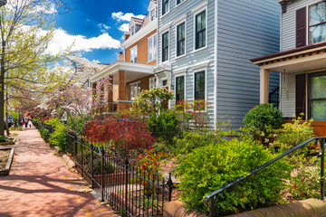 Colorful homes in the heart of Washington, DC. Iconic Capitol Hill street with timeless charm.