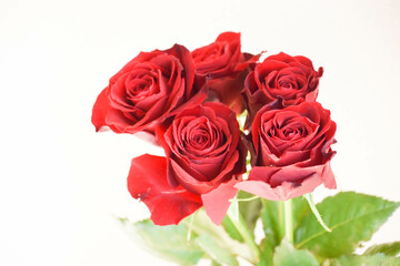 赤い薔薇