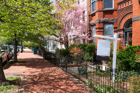 Scenic street view in Capitol Hill, DC. Vintage townhouses and seasonal beauty in full harmony.