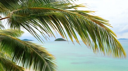 Lush Palm Fronds Overlooking Tranquil Ocean and Islands in Distance