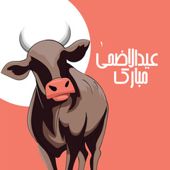 Eid al-Adha Mubarak Celebration