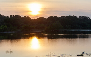A sunset over a lake with a bird flying over the water
