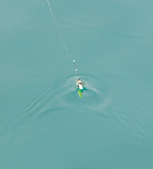 A fishing line is attached to a green and white lure