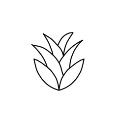 Trees, leaves, colorful flowers, and nature.