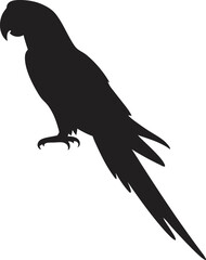 Parrot Silhouette PNG Transparent Background