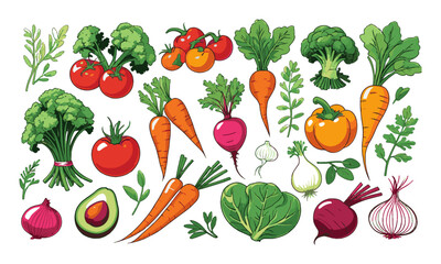  Modern vector illustration set of fresh vibrant vegetables, easily scalable and editable.