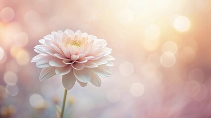 Fototapeta premium A Delicate Pink Blossom in Soft Light, a Symbol of Tranquility and Gentle Beauty, Blooming in a Dreamy, Pastel Garden