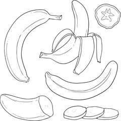 Banana vector illustration set. Includes whole, peeled, sliced bananas. Simple line art for food concepts.