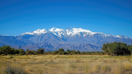 Fototapeta premium Vast mountain range, snow-capped peaks, and a golden meadow.