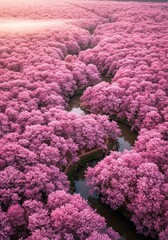 桜並木 水面輝く 春の景色