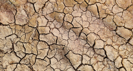 The ground has cracks in the top view for the background